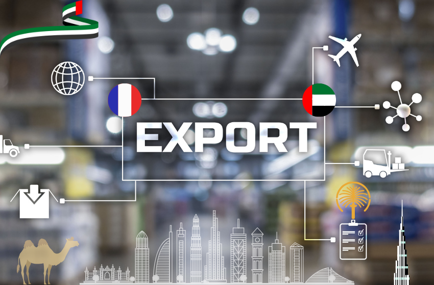  Exporter de Dubai vers la France : conseils pour un transport sans tracas