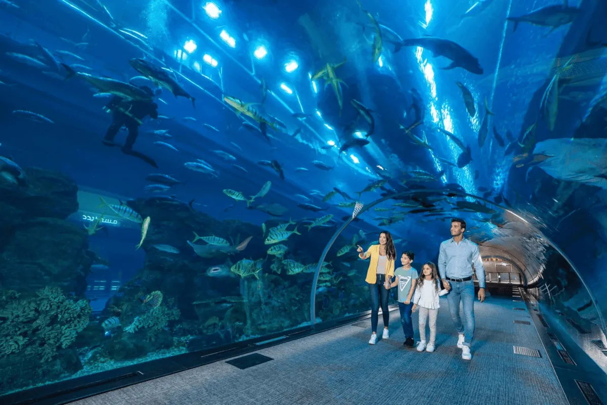 Aquarium de Dubaï Image